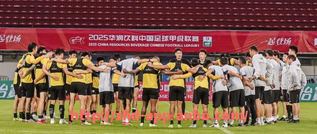 安博体育app下载-西甲英超意甲与德甲球队实力大对比